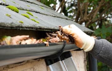 gutter cleaning Bowling Green